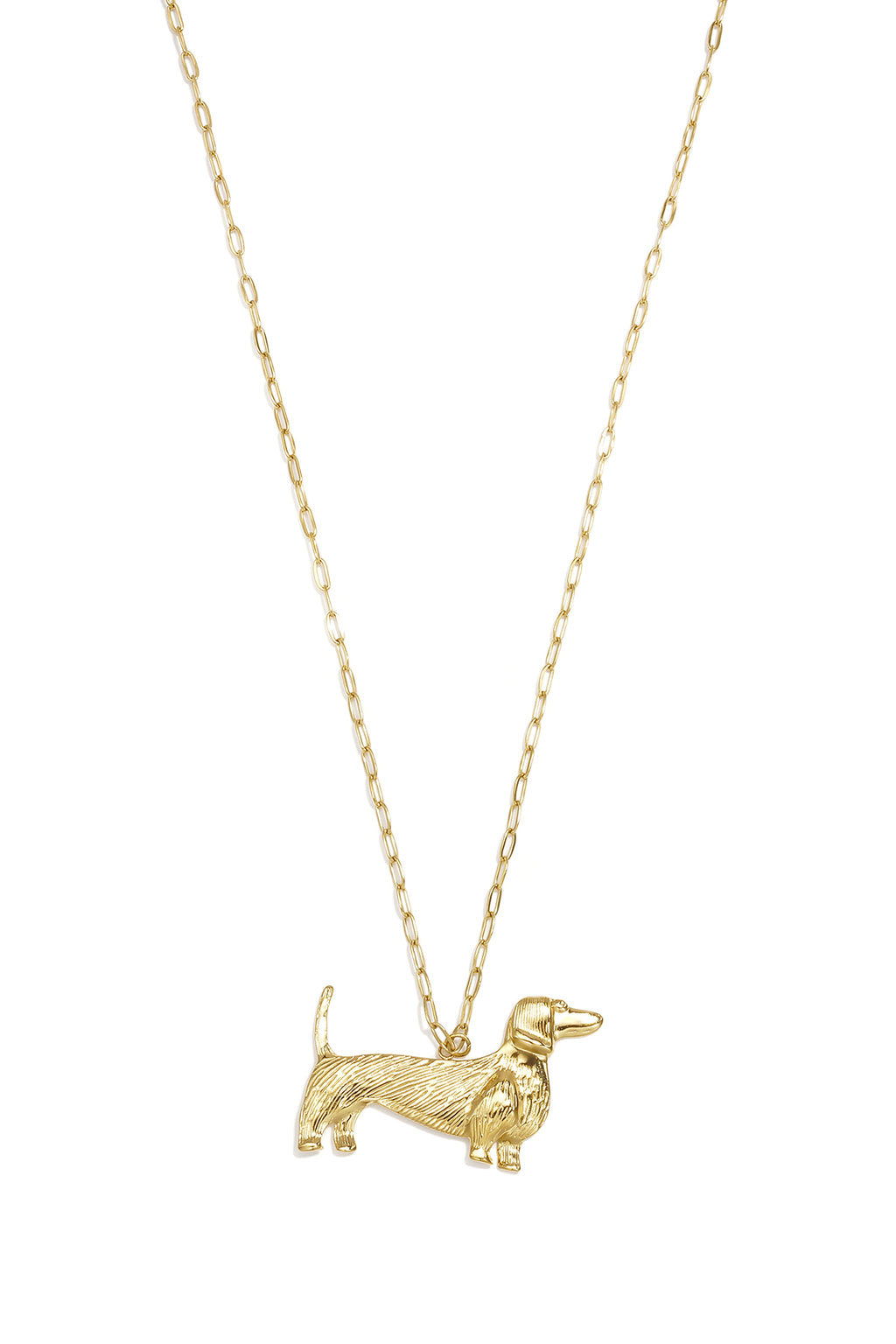 Collar largo perrito Teckel