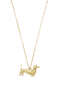 Collar largo perrito Teckel