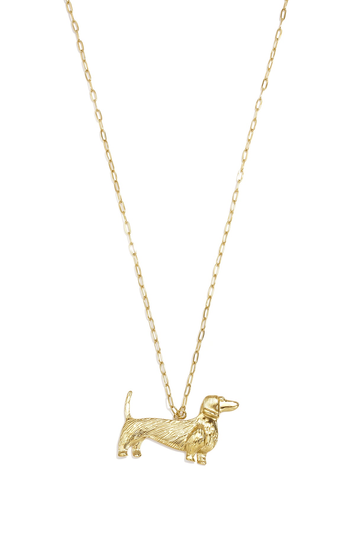 Collar largo perrito Teckel