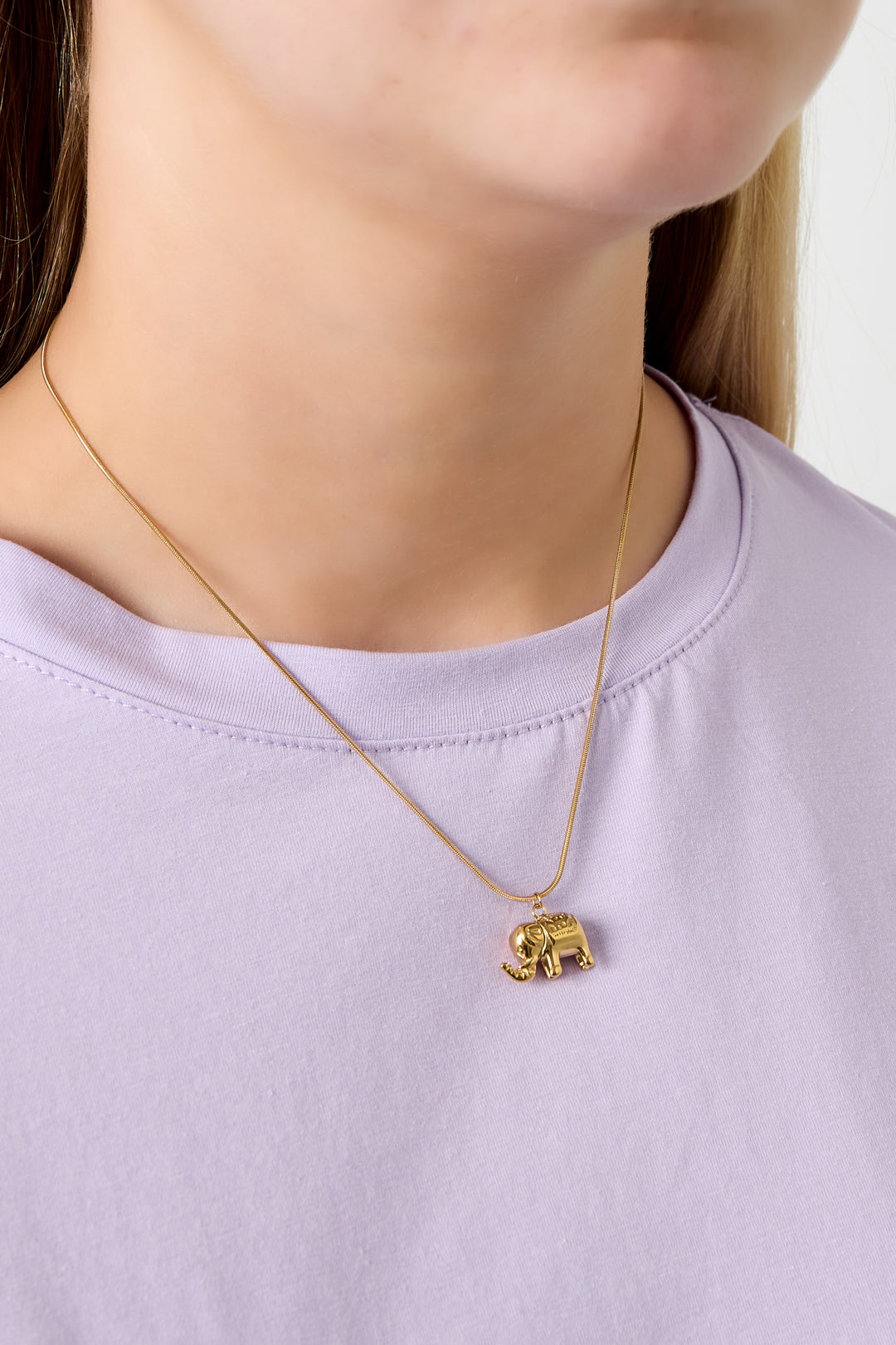 Collar de elefante
