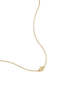 Elegant Gold-Plated Shell Pendant Necklace for Women