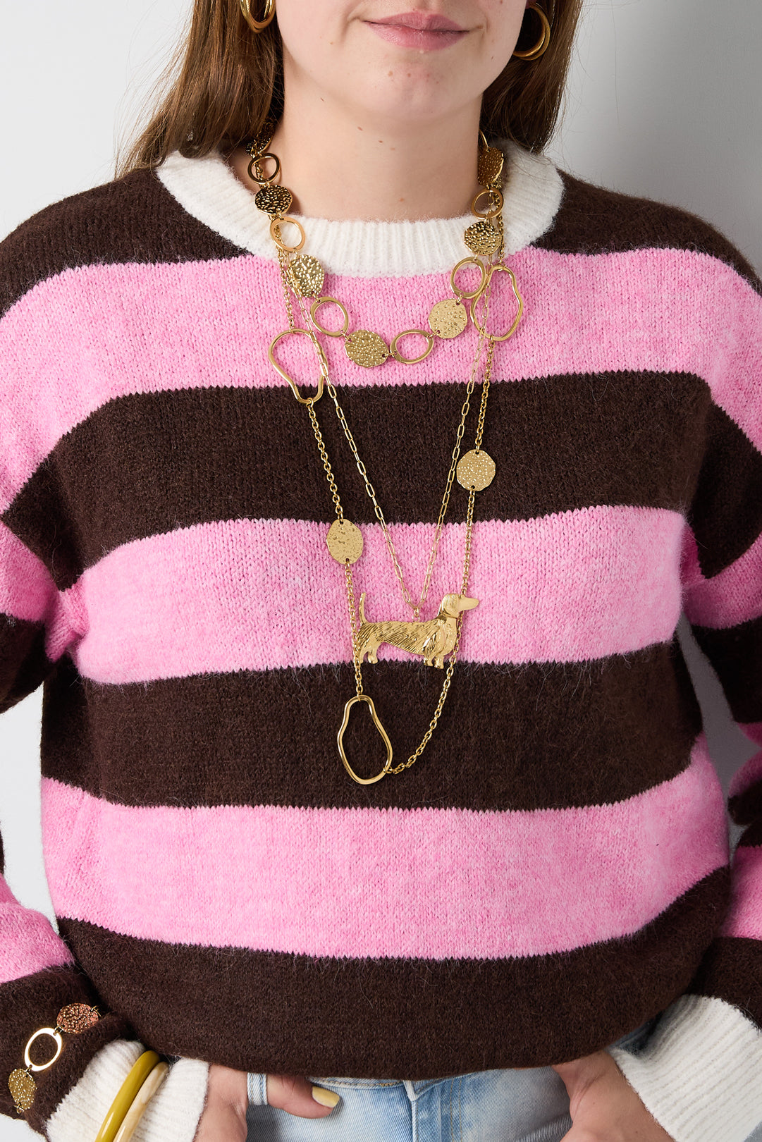 Collar largo perrito Teckel